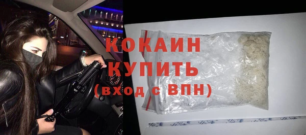 шишки Белоозёрский
