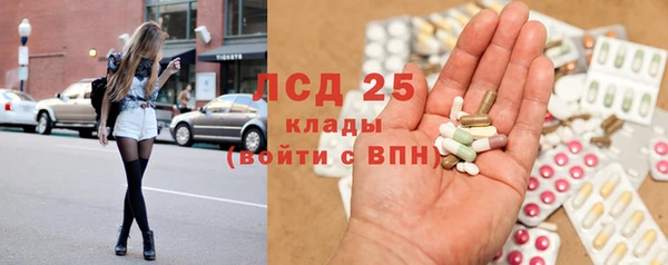 шишки Белоозёрский