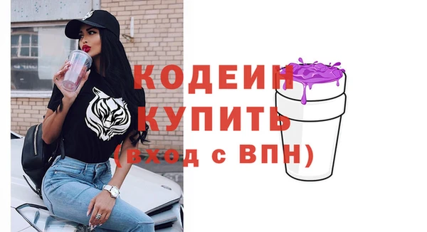 шишки Белоозёрский
