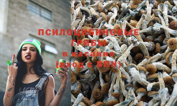 круглые Белокуриха