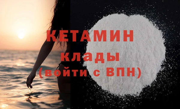 шишки Белоозёрский