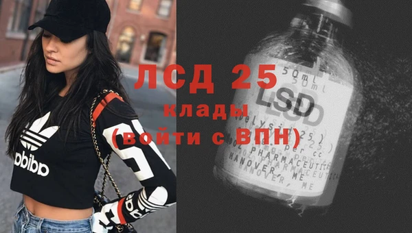 шишки Белоозёрский