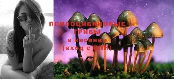 шишки Белоозёрский