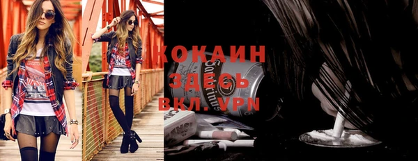 шишки Белоозёрский