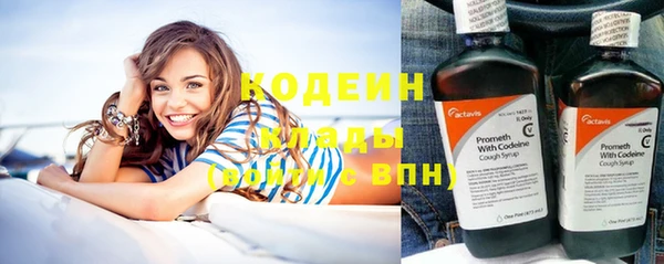 шишки Белоозёрский